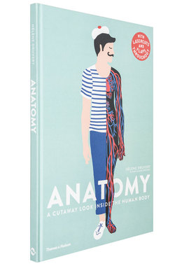 【现货 】【T&H】Helene Druvert纸雕艺术书 Anatomy人体结构 儿童趣味科普 英文原版