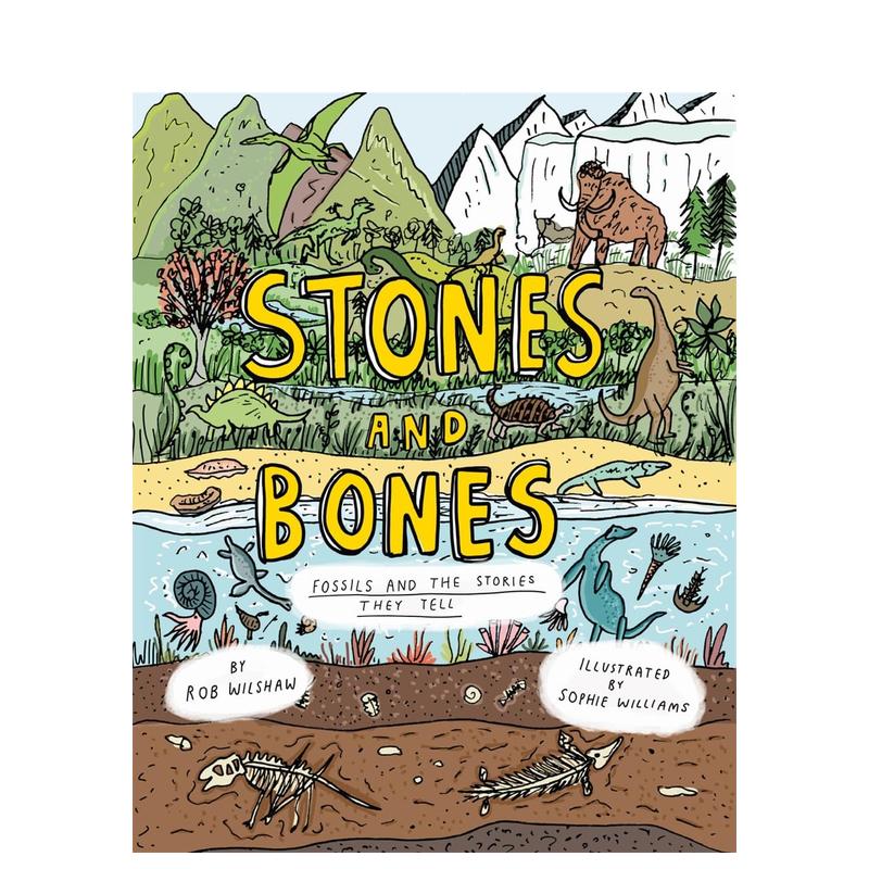 石头和骨头：化石的故事 Sto