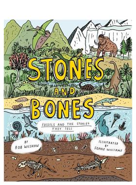 【现货】石头和骨头：化石的故事 Stones And Bones Fossils: And The Stories They Tell 原版英文儿童绘本