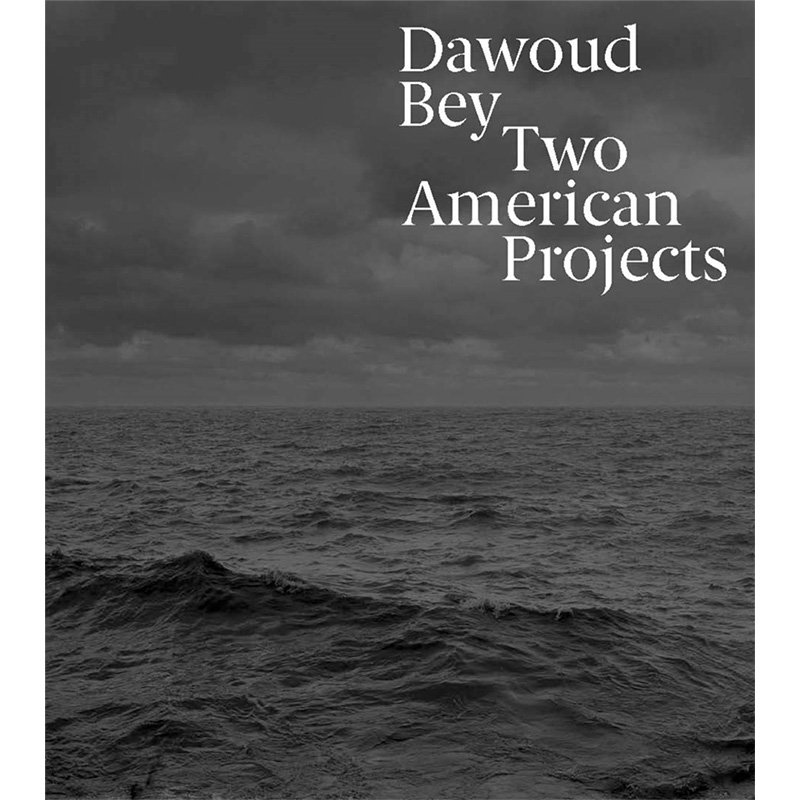 【预售】Dawoud Bey: Two American Projects，达乌德贝:两个美国项目英文原版图书籍进口正版