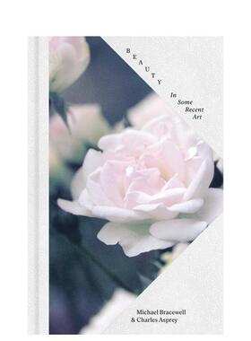 【现货】美：近期艺术中的一些呈现 Beauty: In Some Recent Art 英文进口原版艺术画册画集Michael Bracewell外文图书