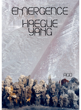 【现货】梁惠圭：浮现 Haegue Yang: Emergence 英文进口原版艺术画册画集Prestel