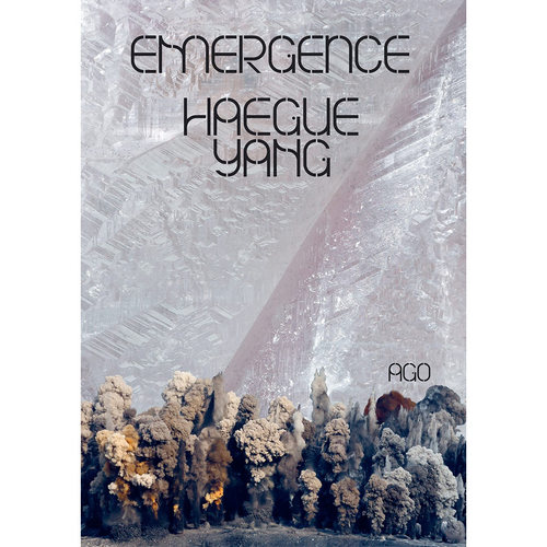 梁惠圭：浮现 Haegue Y