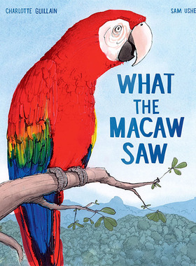 【预售】预售at the Macaw Saw，鹦鹉看到了什么 英文原版图书籍进口正版 Charlotte Guillain 儿童绘本-动物/生态/环保