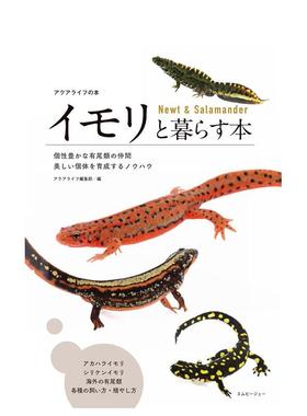 【预售】与蝾螈共居指南 イモリと暮らす本　Newt & Salamander 日文进口原版图书エムピ—ジェ—正版