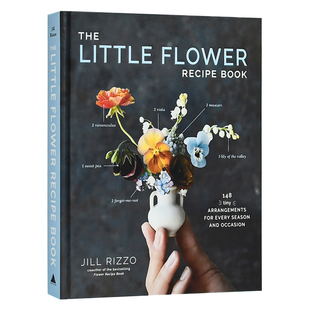 The 生活综合 Rizzo 小花插花指南 现货 翰德图书 英文原版 Flower Little Jill Recipe 图书籍进口正版 Book