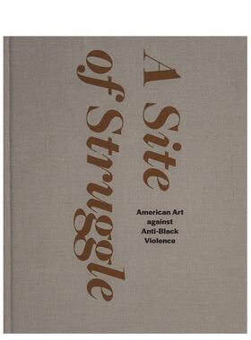 【预售】斗争之处：美国反对反黑暴力的艺术 A Site of Struggle... 英文进口原版艺术画册画集外文图书Janet Dees