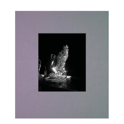 【现货】我将优美地歌唱 欧格斯·兰斯莫斯i shall sing these songs beautifully  Yorgos Lanthimos 可怜的东西 英文进口摄影集