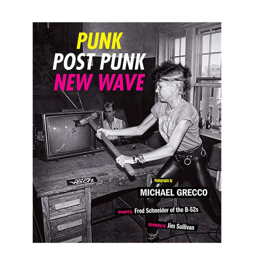 【现货】Punk Post Punk New Wave:Onstage Backstage In Your Face朋克 后朋克 新浪潮:舞台 后台在你的脸上1977-1989英文原版