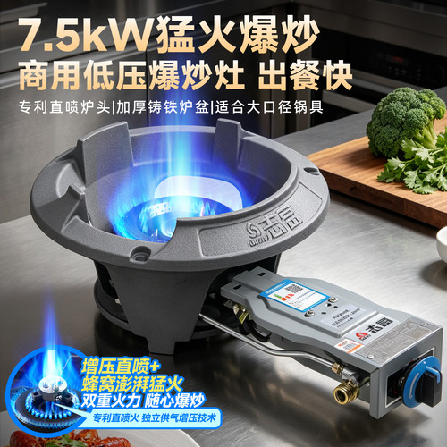 志高商用猛火单灶燃气灶