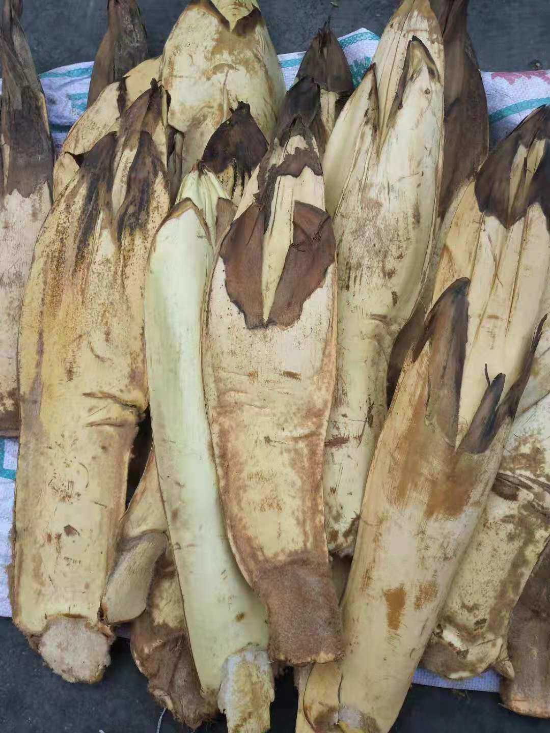 云南野生农产品 德宏新鲜棕包米 棕笋粽包 绿色清火