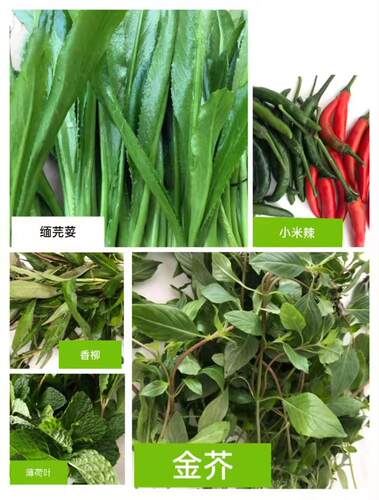 德宏新鲜蔬菜缅芫荽香柳薄荷叶小米辣总500g可随意切换香料组合