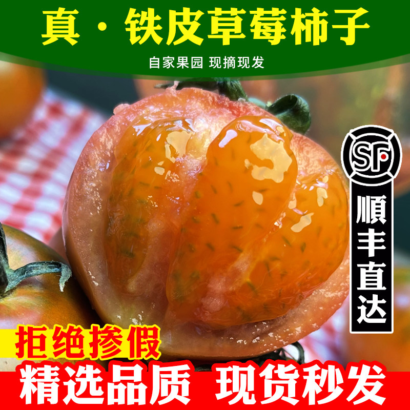 正宗丹东草莓柿子铁皮柿子西红柿新鲜自然熟生吃水果番茄碱地顺丰