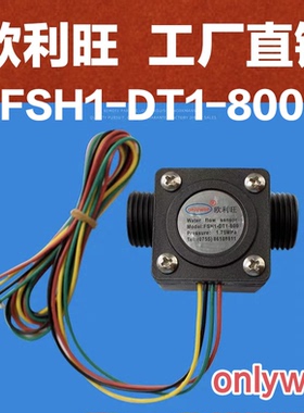 工厂直销 欧利旺水流量传感器  FSH DT1 800 流量计