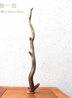 千年胡杨风化老木原木随形根艺摆件自然禅意艺术创意家居收藏饰品