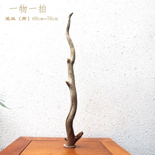 千年胡杨风化老木原木随形根艺摆件自然禅意艺术创意家居收藏饰品