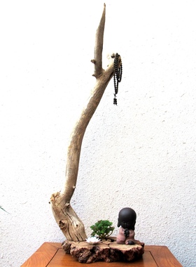 千年胡杨风化老木原木随形根艺摆件自然禅意艺术创意家居收藏饰品