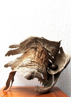 千年胡杨风化木树皮整体随形摆件自然禅意创意搭配  家居饰品收藏