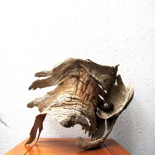 千年胡杨风化木树皮整体随形摆件自然禅意创意搭配 家居饰品收藏