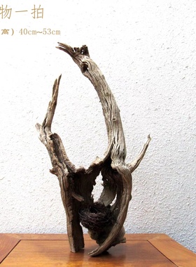 精选千年胡杨风化木随形根艺摆件自然禅意艺术微景观创意家居饰品