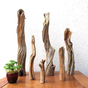 沙漠天然千年胡杨风化木整体随形家居办公室文玩搭配收藏创意摆件