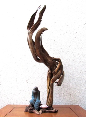 千年胡杨风化老木原木随形根艺摆件自然禅意艺术创意家居收藏饰品