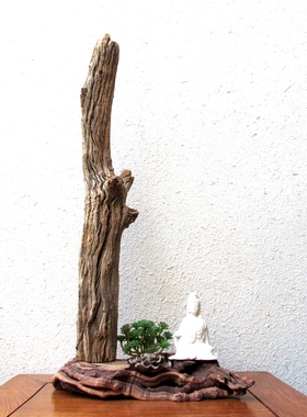 千年胡杨风化老木原木随形根艺摆件自然禅意艺术创意家居收藏饰品