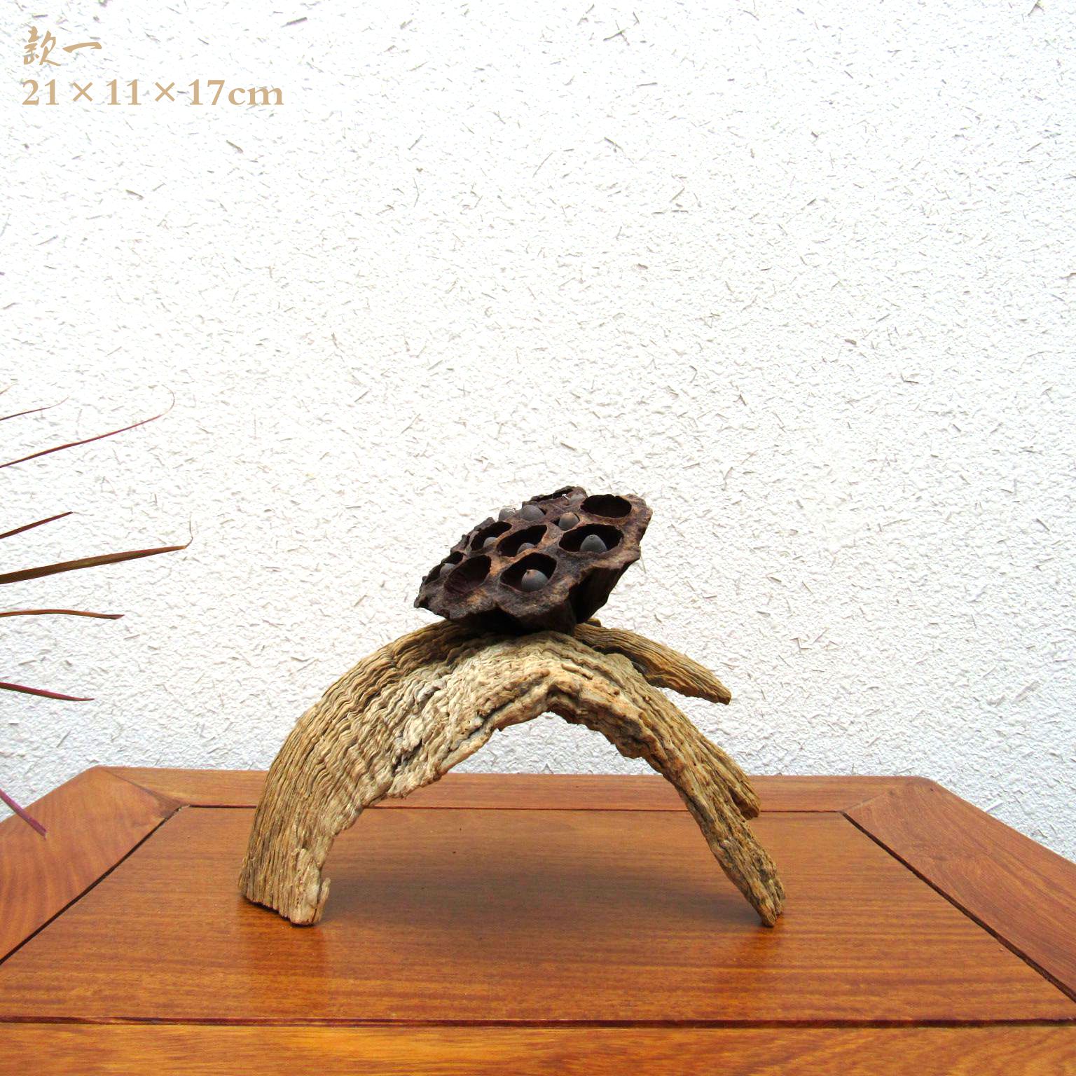 千年胡杨风化枯木朽木根艺随形摆件自然禅意创意家居软装饰品搭配