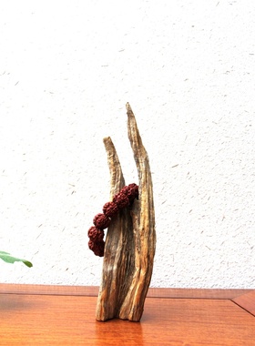 胡杨木招财天然风化老木摆件