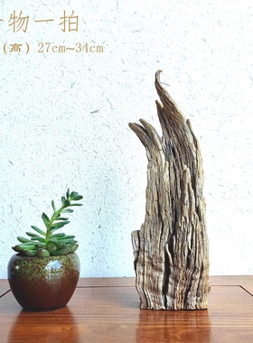 千年胡杨风化老木原木随形根艺摆件自然禅意艺术创意家居收藏饰品