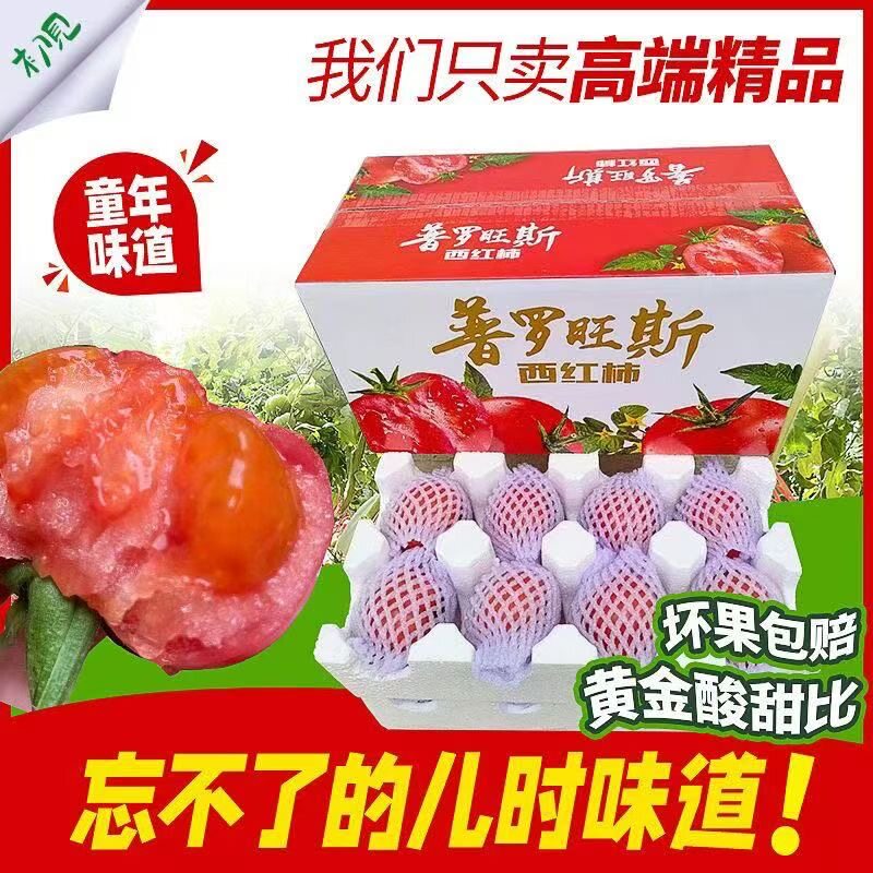 陕西泾阳沙瓤西红柿新鲜孕妇水果自然熟生吃番茄当季绿色水果生吃