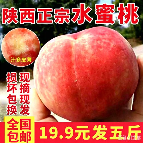 陕西高山水蜜桃纯甜爆汁当天现摘现发好吃当季时令水果5斤装