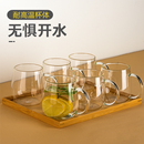 高硼硅茶杯透明水杯耐高温办公室带把水杯女待客 玻璃茶杯家用套装