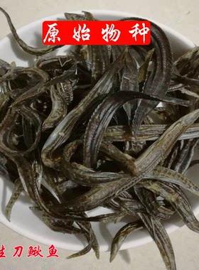 纯野生特产刺鳅干淡水泥鳅板鳅无盐刺湖野生鱼干刺鳅刀鳅鱼一斤