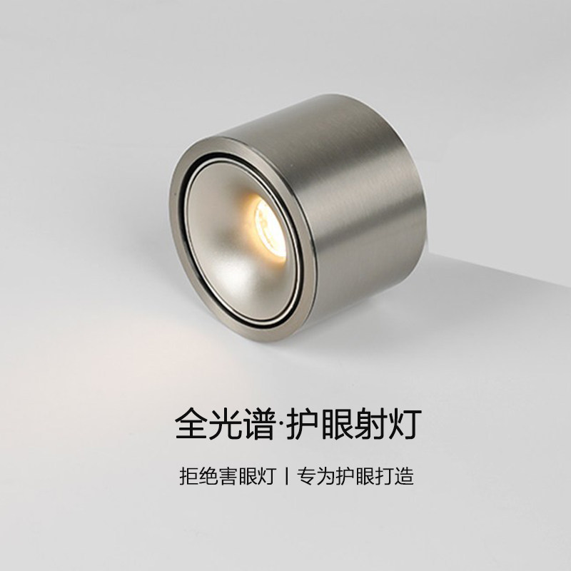 明装筒灯不锈钢射灯中古风可调角