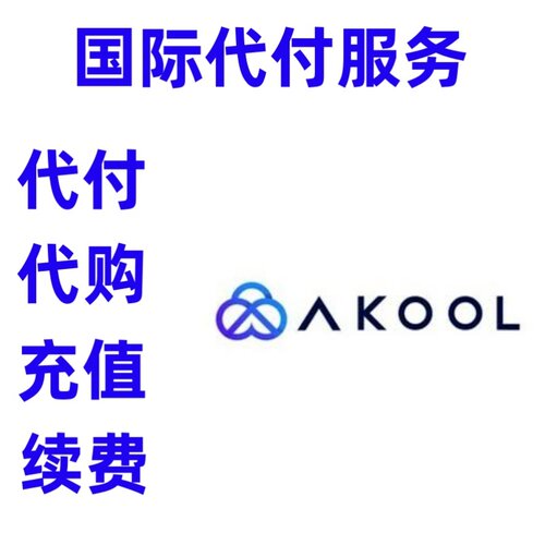 缴费 Akool 付缴费款 Akool 订阅注册续费充值