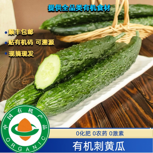有机刺黄瓜包邮，有机认证证书有机码齐全生食无农残自然生长