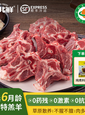 内蒙苏尼特有机羊肉草饲养新鲜有机认证羊蝎子1500g顺丰包邮