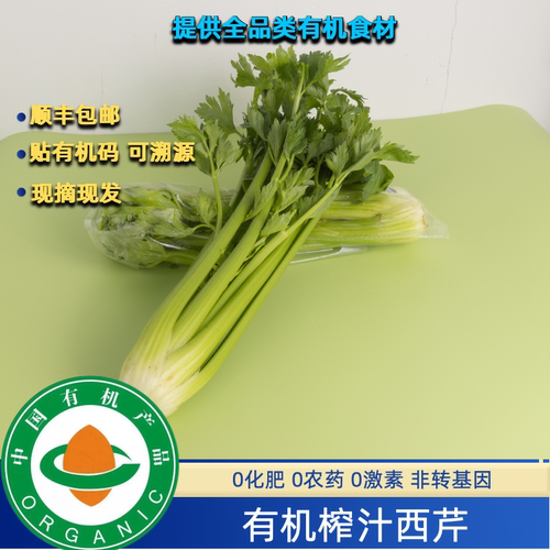 有机认证有机西芹现摘现发可以生榨汁的西芹无农残新鲜无农残