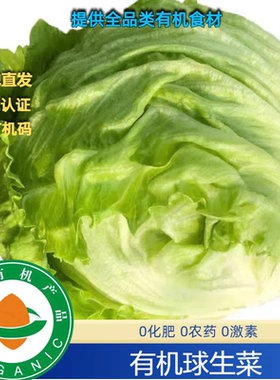 有机认证有机球生菜现摘现发，鲜有机无农残安心绿色蔬菜