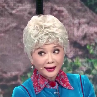 蔡明款中老年奶奶花白假发女慈祥妈妈短卷发道具表演出老人老太太