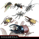 昆虫玩具模型 儿童仿真动物模型知了蟋蟀天牛甲虫蚊子蚂蚁摆件