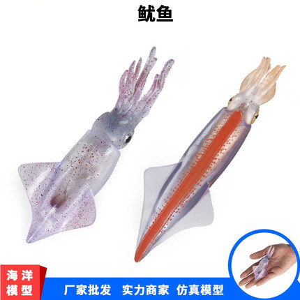 儿童实心仿真海洋生物动物模型鱿鱼章鱼乌贼海底世界鱼缸认知玩具