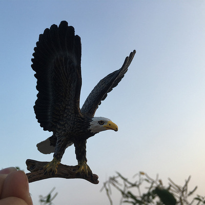 仿真动物模型猛禽鸢大雕天鹅