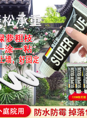 室外绿植藤蔓爬墙固定器