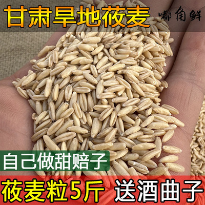 嘟角鲜旱地莜麦子5斤送酒曲1包做甜赔甜胚子玉麦甘肃农家杂粮原