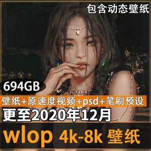 ps原画鬼刀冰公主4k壁纸电脑动态wlop4K壁纸8K笔刷原速视频素材