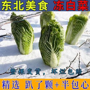 冻白菜趴了颗半包心自家冻白菜新鲜数量不多 3斤5斤包邮