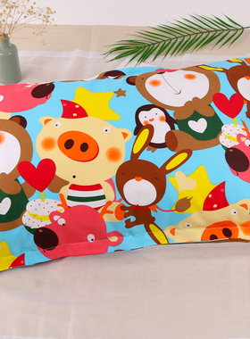 72x45cm 成人纯棉斜纹布枕套 带拉链款一对亏本包邮