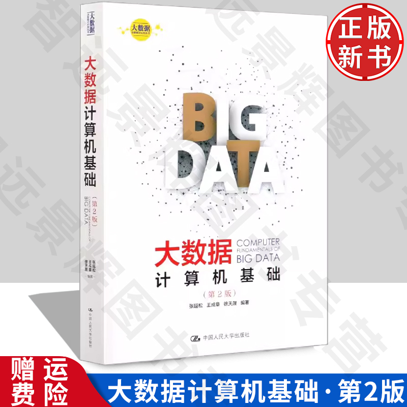 正版现货 大数据计算机基础 （第2版） 张延松 王成章 徐天晟 大数据分析应用统计专业 硕士研究生 大学教材 数据库基础知识